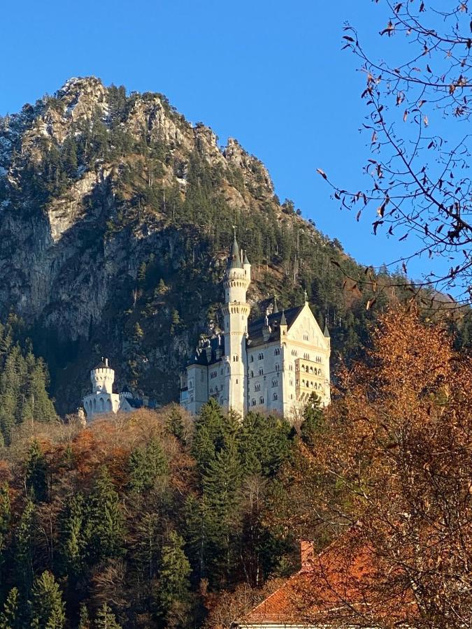 Beim Bergfreund *