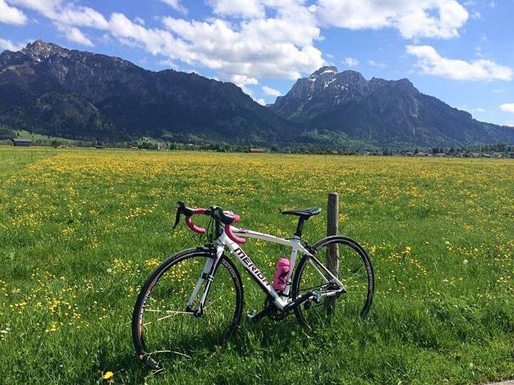 Beim Bergfreund Appartamento